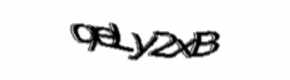 Security check image, please type the characters shown